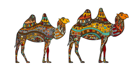 Hand drawn couple of camels. Colorful zentangle ornament for your design