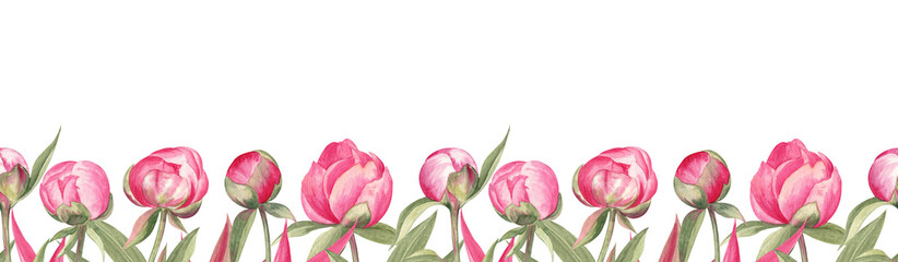 Seamless border pattern with the garden peony flowers painted in watercolor, isolated on white background. For wedding stationery decorations, mugs, scrapbooking, tape design, packaging, and more. 