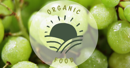 Image of organic food text over fresh grapes