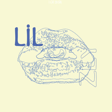 hand drawn illustration