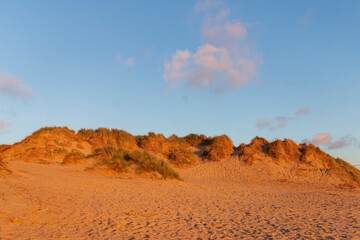Fototapeta na wymiar Sand dunes beside Formby beach, England, UK