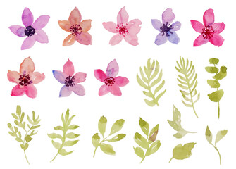 set of cute and beautiful spring flower watercolor	