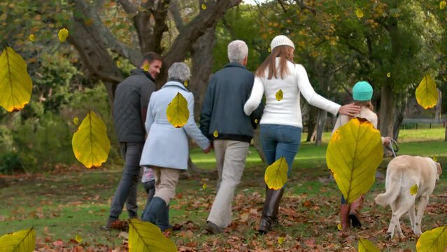 Animation of fall leaves falling over back view of multigeneration caucasian family in autumn park