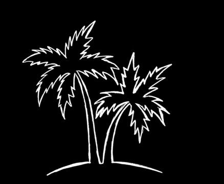  white outline of a palm tree on a black background