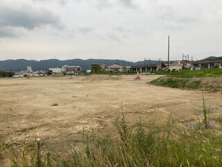 train in the countryside