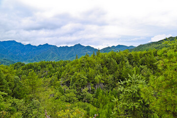 Naklejka premium Landscape of Suobuya stone forest Enshi China