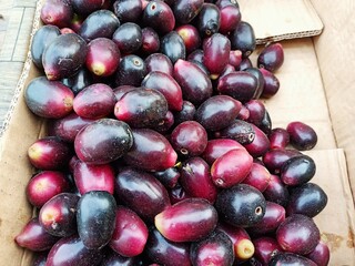 red and black olives