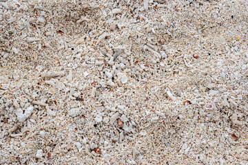 White coral sand from Dry Tortugas National Park and the last of the Florida Keys