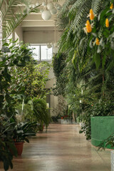 Interior of greenhouse with indoor plants and palm trees.Urban jungle concept.Biophilia design.Home gardening.Selective focus.