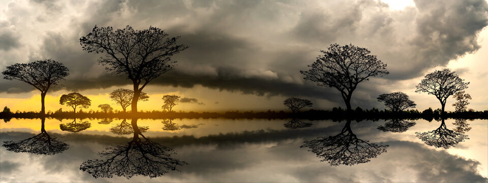 Big dark clouds storm.Panorama silhouette tree in africa with dark clouds storm.Tree silhouetted reflection on water.Typical african sunset with acacia trees in Masai Mara, Kenya.