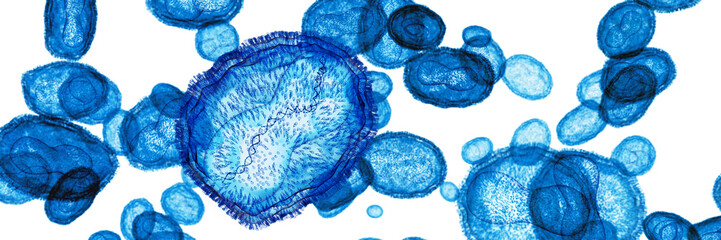Pox, Mpox (monkey pox) or poxviridae virus flow, one virus showing the DNA inside. 3d visualization on white background - obrazy, fototapety, plakaty