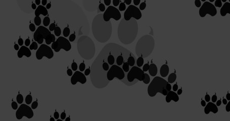 Fototapeta premium Image of black dog paw prints filling dark grey background