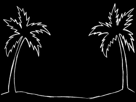 white outline of a palm tree on a black background