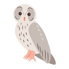 Vector illustration of an owl bird, isolated