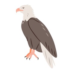 Vector illustration of an eagle bird, isolated