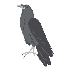 Vector illustration of a raven, crow bird isolated
