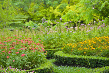 The decoration of the flower garden is beautiful and colorful in the beautiful Chatuchak garden.