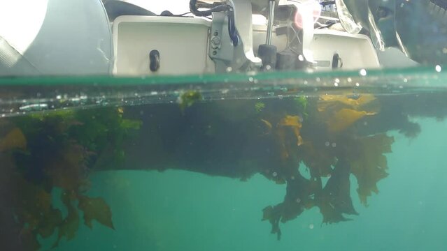 50/50 Over/Underwater of RIB Boat Hull with Outboard Engines and Seaweed Growing Underneath, Dublin