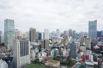 Fototapeta premium 東京風景
