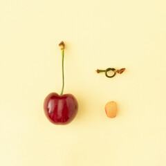 Berry stone with stalk knot and red cherry fruit on pastel background. Creative healthy food,...