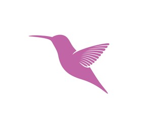 Hummingbird logo. Isolated hummingbird on white background
