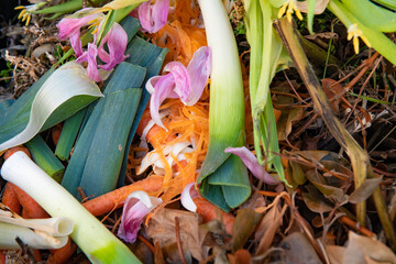 A bunch of organic waste from vegetables, flowers and garden waste.