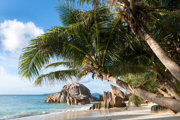Little beach with palms at the Seychelles.