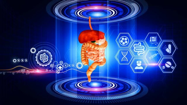 Human Digestive System Virtual Reality
A virtual reality 3d graphics showing rotating human  Digestive System model with medical icons on surrounding