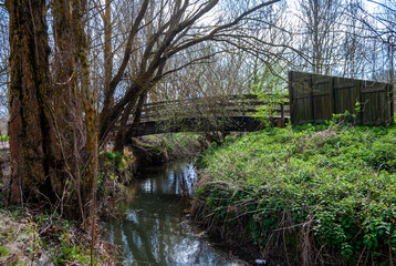 THE SALBURUA WETLAND, VITORIA-GASTEIZ, ALAVA, BASQUE COUNTRY, SPAIN