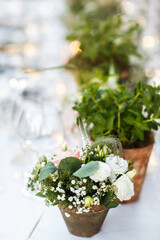 Flowers in pots on the weddign table