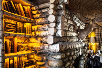 Antlers on a wooden wall, books, lamp and vintage chair