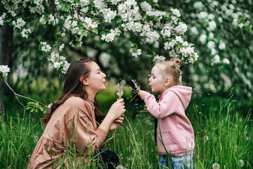 Obraz premium mother and daughter with dandelions blooming apple trees