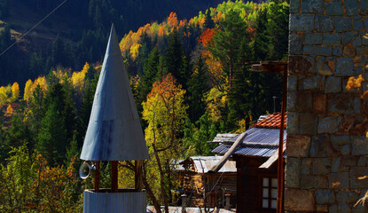 mosque and village houses in autumn