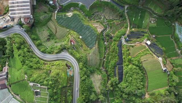 General Landscape View of the Brinchang District Within the Cameron Highlands Area of Malaysia