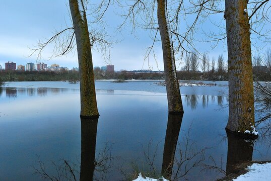 THE SALBURUA WETLAND, VITORIA-GASTEIZ, ALAVA, BASQUE COUNTRY, SPAIN