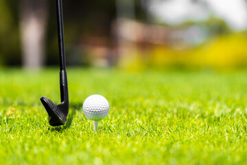Fototapeta na wymiar Golf ball and golf club on green grass on golf course