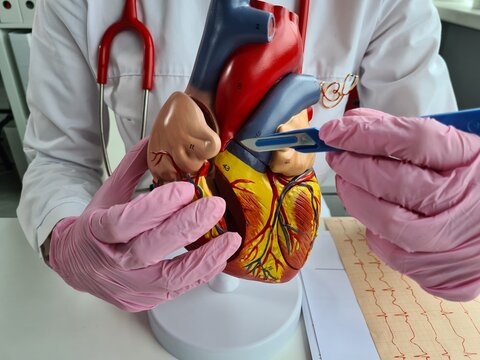 Doctor Holds Scalpel And Concept Of Cardiac Surgery