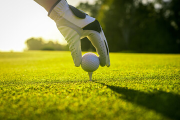 Golfer wearing glove placing golf ball on a tee at golf course