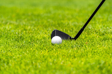 Fototapeta na wymiar Golf iron club ready to hit a ball on green grass on golf course