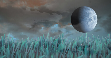 Fototapeta premium View of beautiful landscape with grass, moon and clouds in the sky