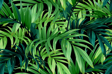 Seamless greeen hand drawn tropical vector pattern with palm leaves on dark background.