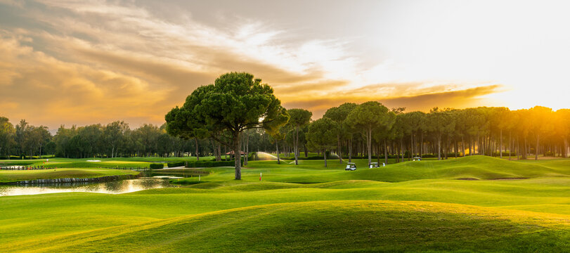 Golf course at sunset with beautiful sky. Scenic panoramic view of golf fairway. Golf field with pines © SDF_QWE
