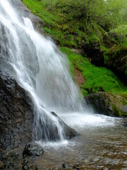 Naklejka premium autour de Montgreleix (Cézallier)