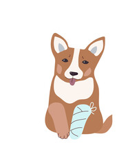 Obraz na płótnie Canvas Dog, veterinary medicine, cartoon vector