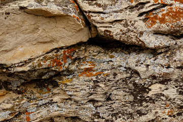 Autumn view of the cliff close-up. Space for copying. Photo for background. No people.