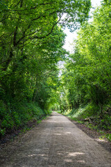 Voie verte de Briouze à Bagnoles-de-l’Orne au niveau du Marais du Grand Hazé