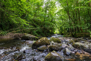 Rivière de la Cance à Mortain par une journée ensoleillée de printemps