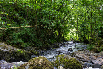 Obraz premium Rivière de la Cance à Mortain par une journée ensoleillée de printemps