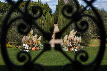 Arch for an outdoor wedding ceremony in the olive garden