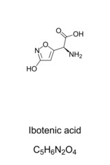 Ibotenic acid, fly agaric poison, chemical formula and structure. Referred to as ibotenate, a chemical compound and psychoactive drug, naturally occuring  in fly amanita mushrooms, Amanita muscaria.